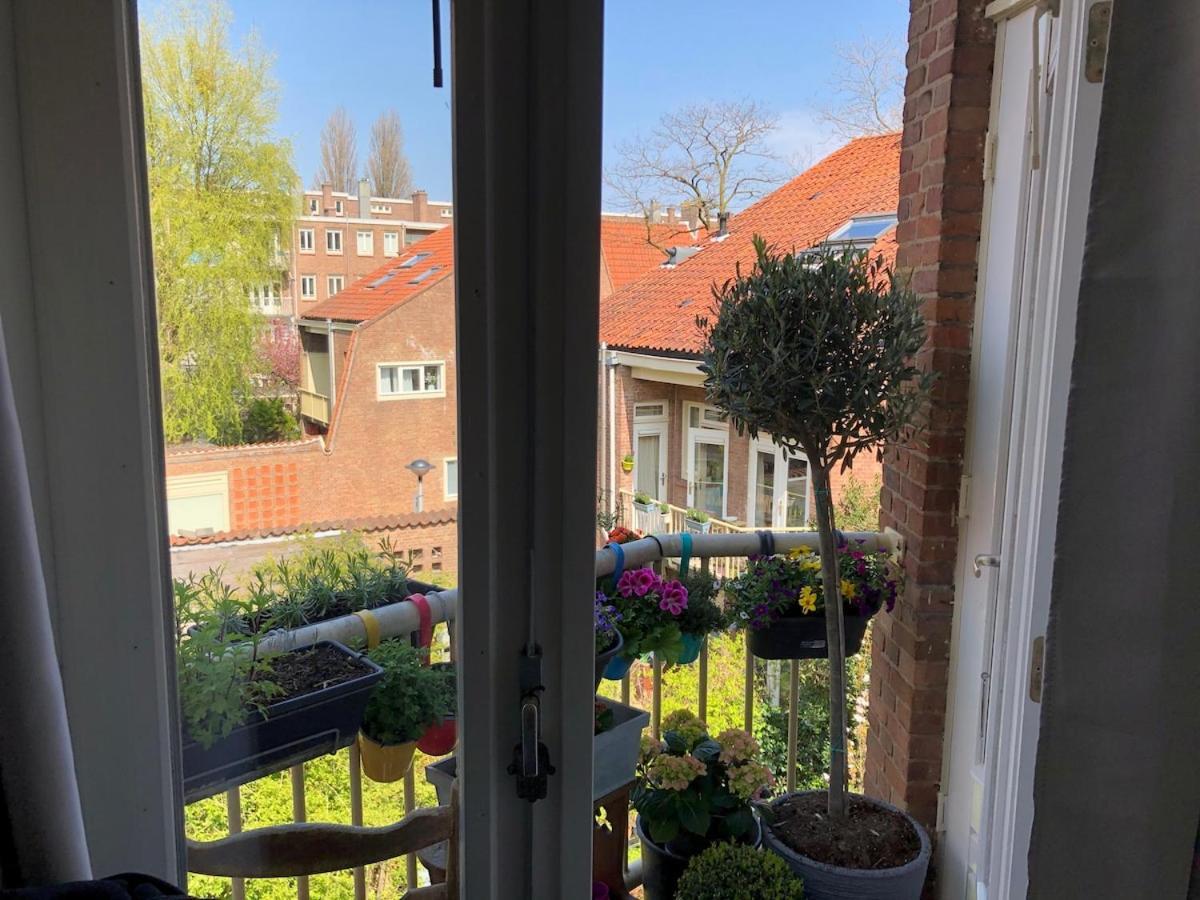 Apartment Beautiful Quiet In The Center Of Amsterdam